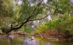 Klátovská národná rezervácia